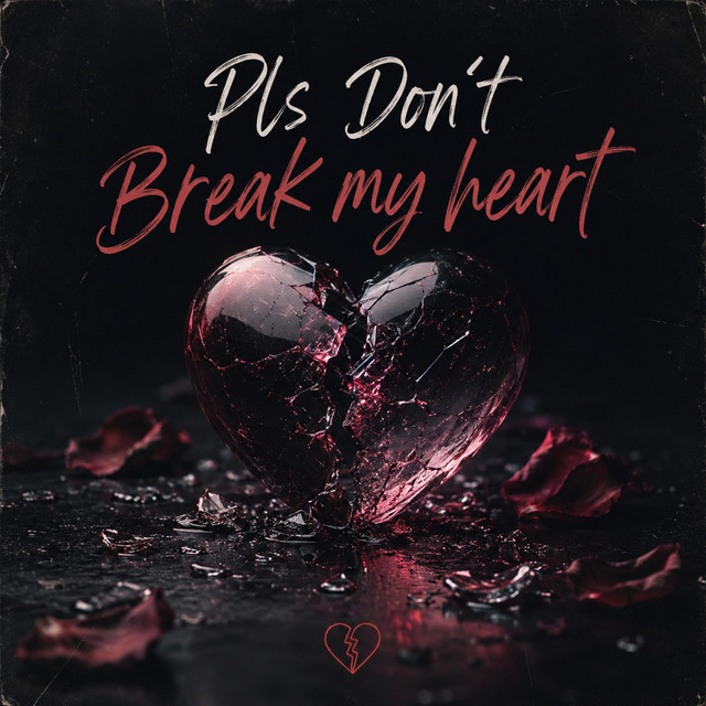 Pls Don’t Break My Heart album image