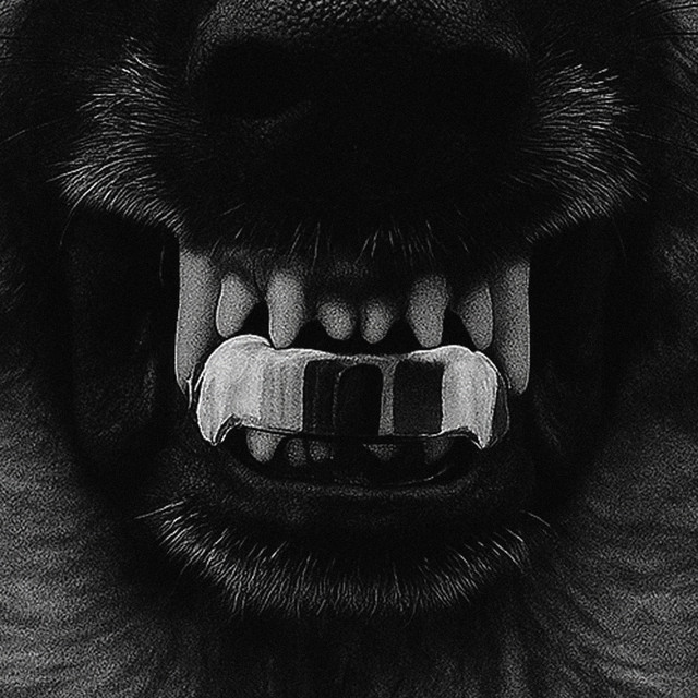 K9 cover art