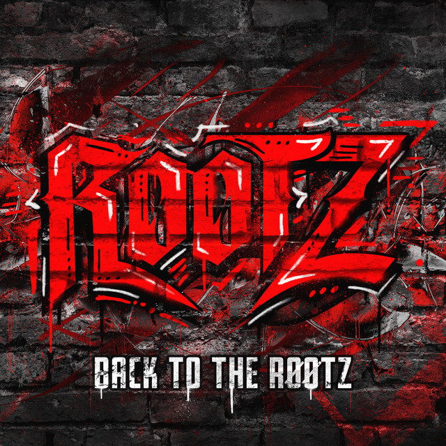 BACK TO THE RØØTZ (Radio Edit) cover art