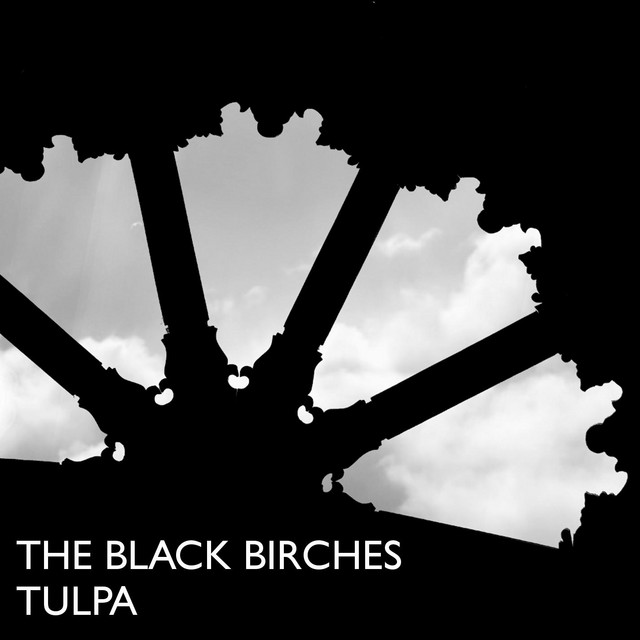 The Black Birches