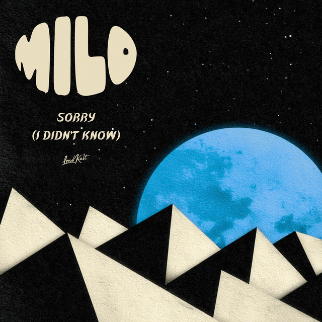 Sorry (I Didn't Know)