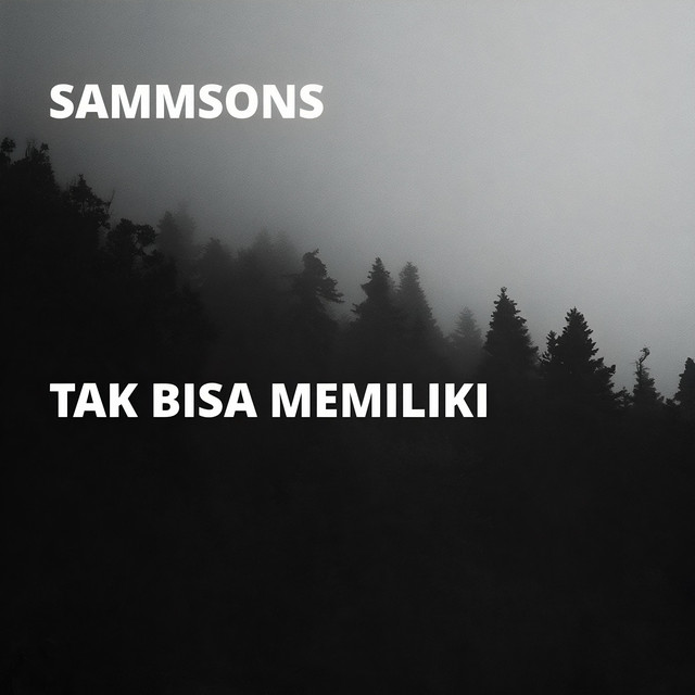 Tak Bisa Memiliki cover art