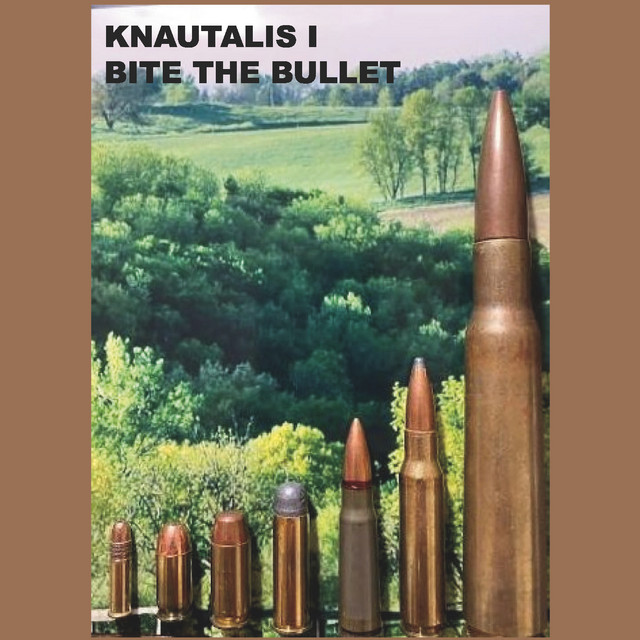 Knautalis