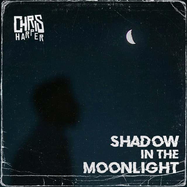 Shadow In The Moonlight