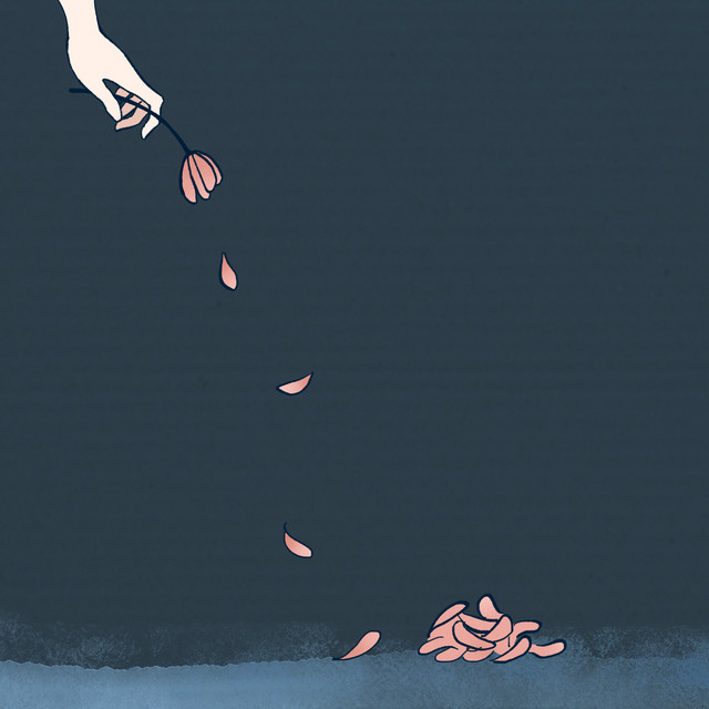 낙화 cover