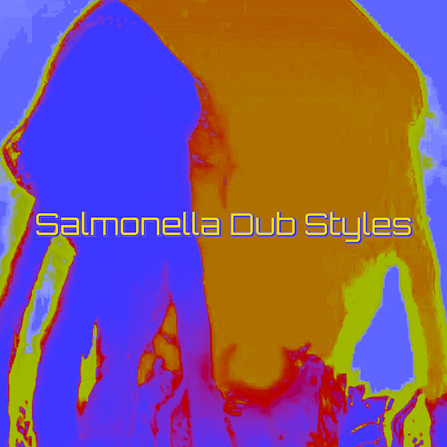 Salmonella Dub Styles