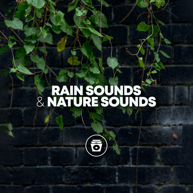 Rain Sounds & Nature Sounds cover art