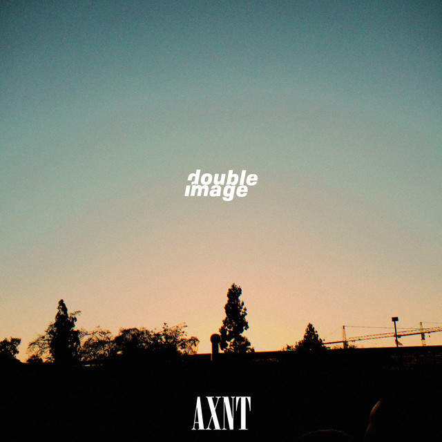 Double Image cover art