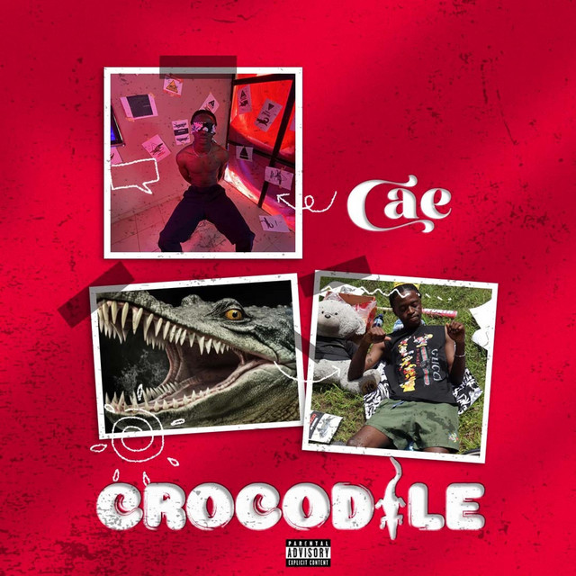 Crocodile