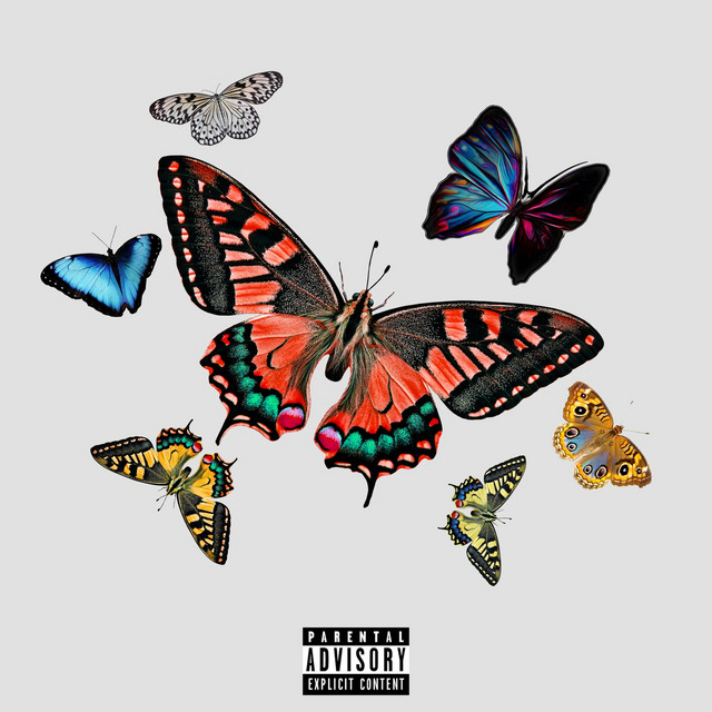 BORTOM: THE ALBUM (Vol.1) cover art