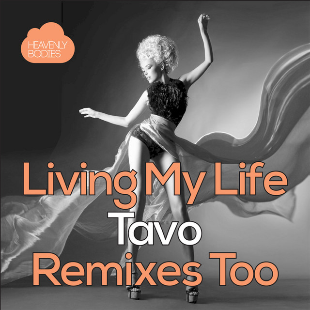 Living My Life (Remixes Too) cover