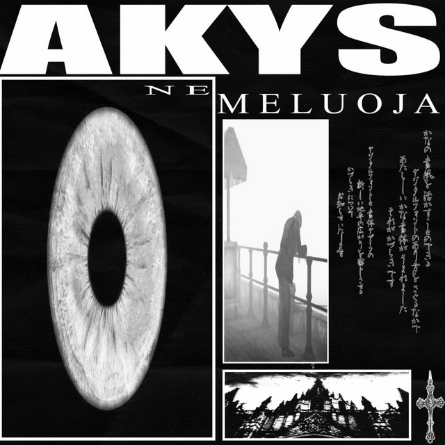 Akys Nemeluoja cover art
