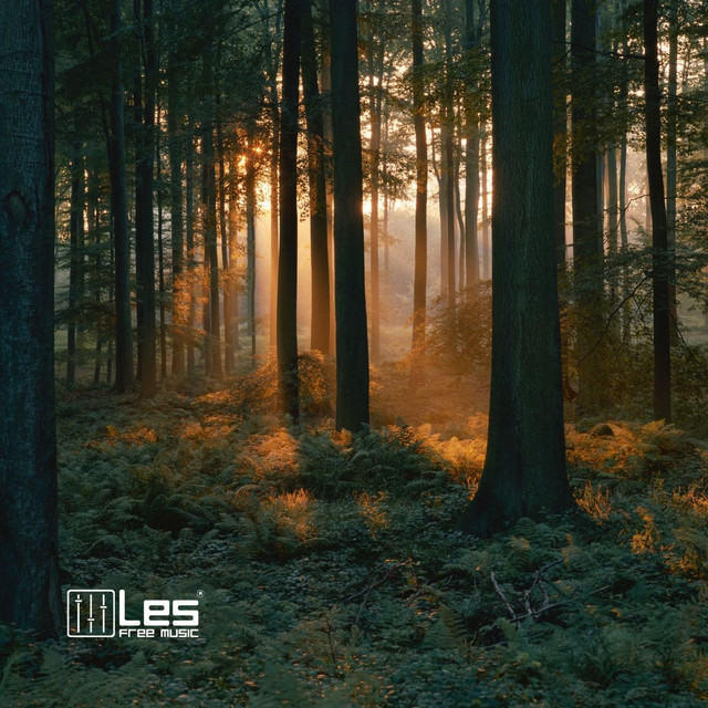 Обкладинка: Ambient Spring Forest — Lesfm