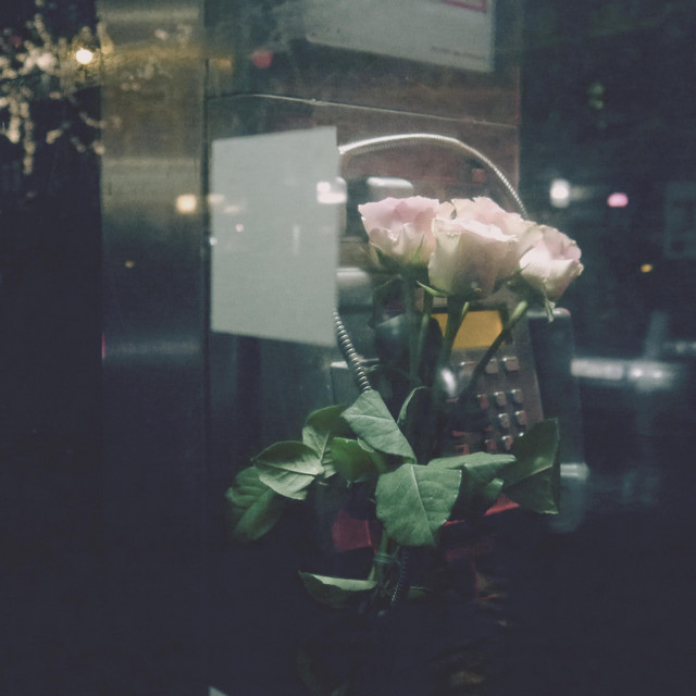 Karma cover art