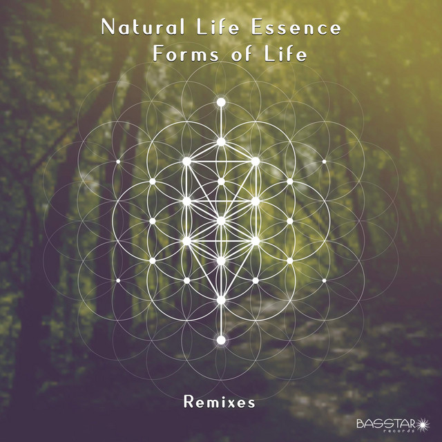 Nomad Dragonfly - Tranquil Wind Remix cover art