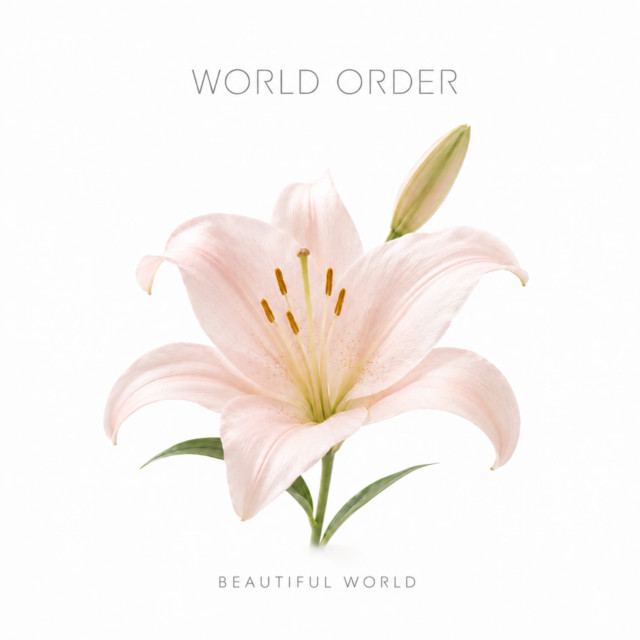 BEAUTIFUL WORLD cover