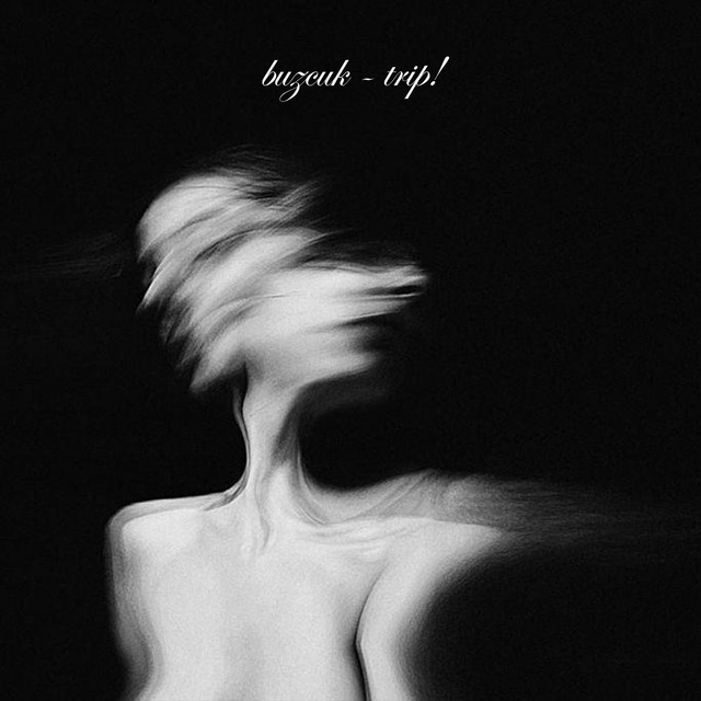 trip! cover art