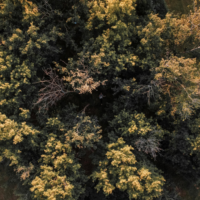 Thisiswhatiwantmylifetosoundlike cover art