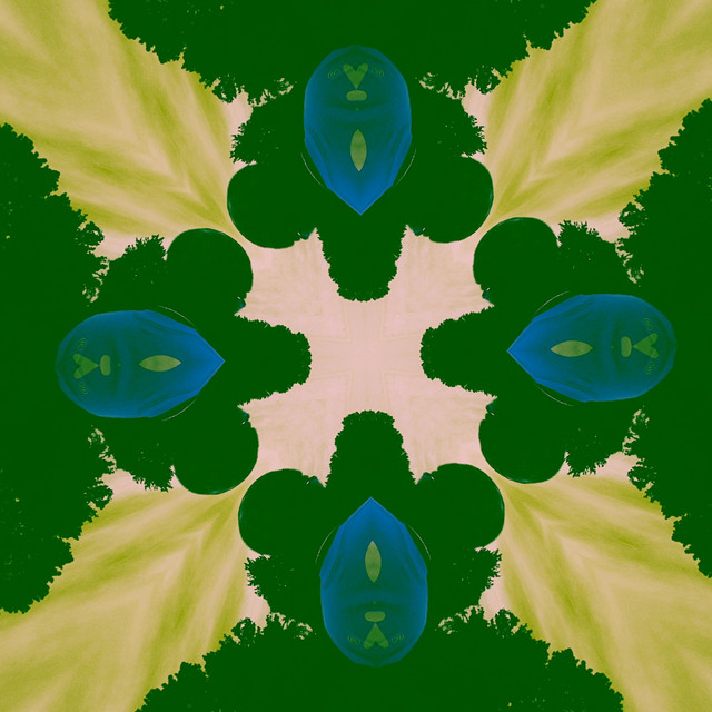 MEDULLA album image