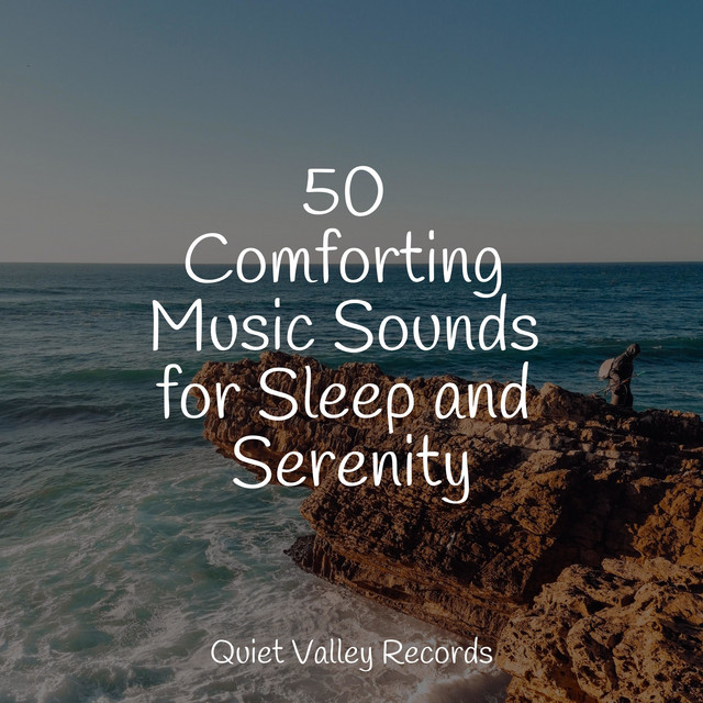 50 Comforting Music Sounds for Sleep and Serenity - Album by Rainforest ...
