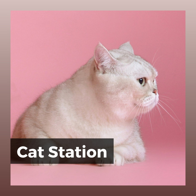 famously-ambient-pt-24-song-and-lyrics-by-cats-music-zone-spotify