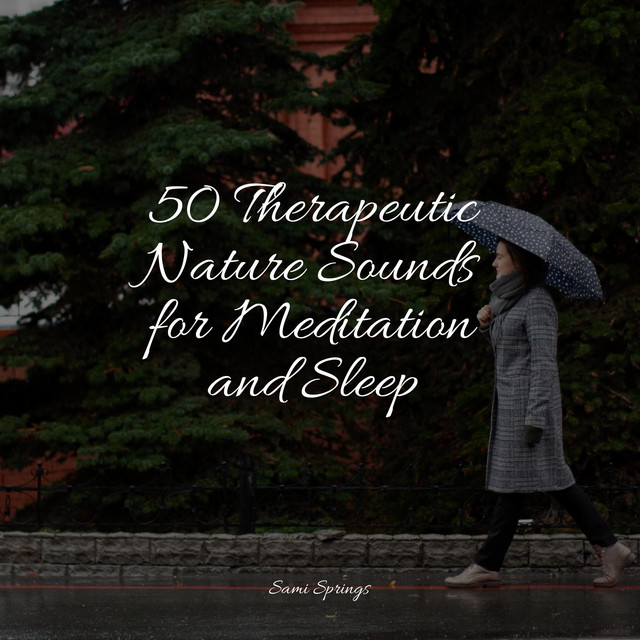 50 Therapeutic Nature Sounds for Meditation and Sleep - Album by The ...