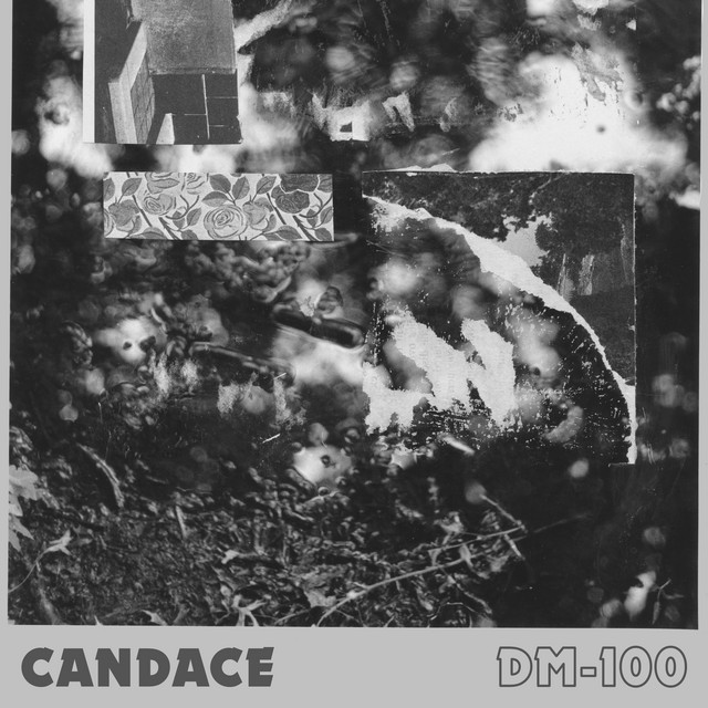 DM-100 - Candace
