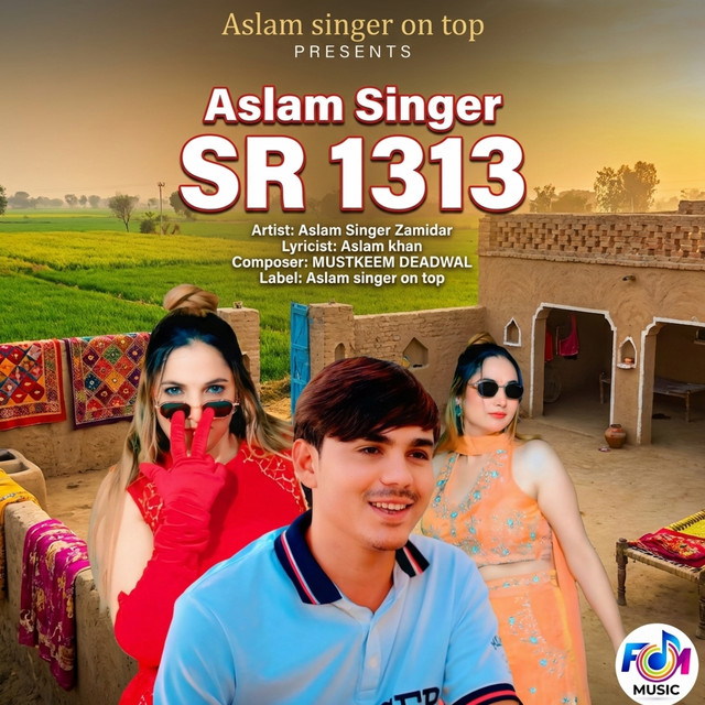Aslam Singer SR 1313
