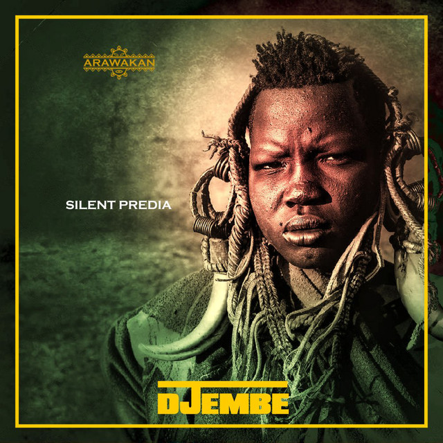 Djembe cover