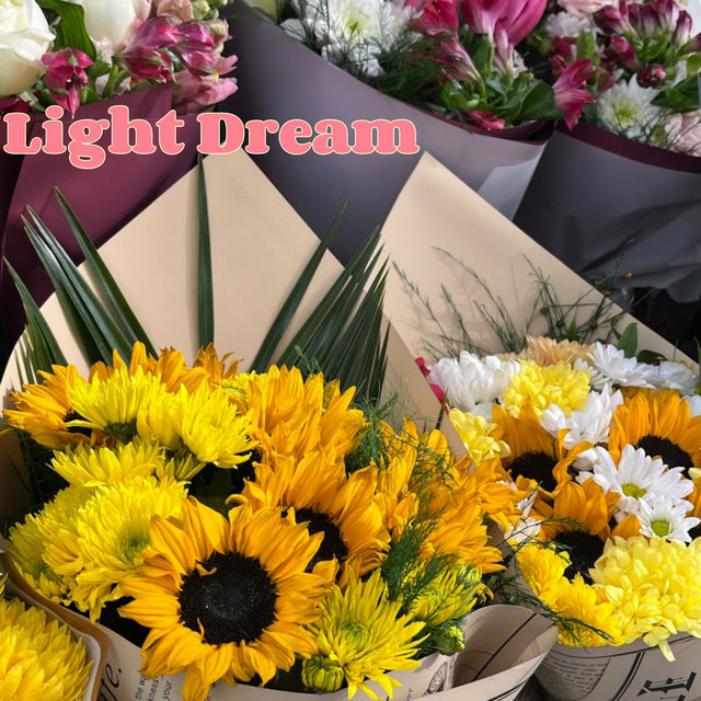 Light Dream