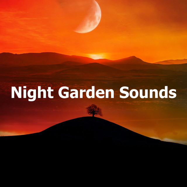 The Moon Rising - song and lyrics by Night Sounds | Spotify
