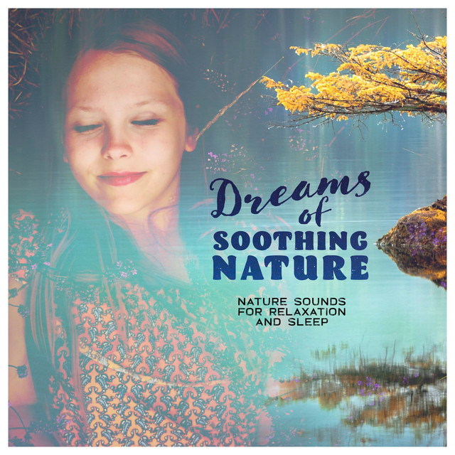 Dreams of Soothing Nature - Album by Nature Sounds for Relaxation and ...