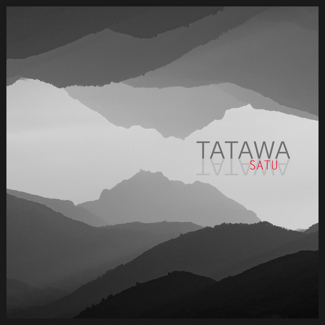 Satu cover art