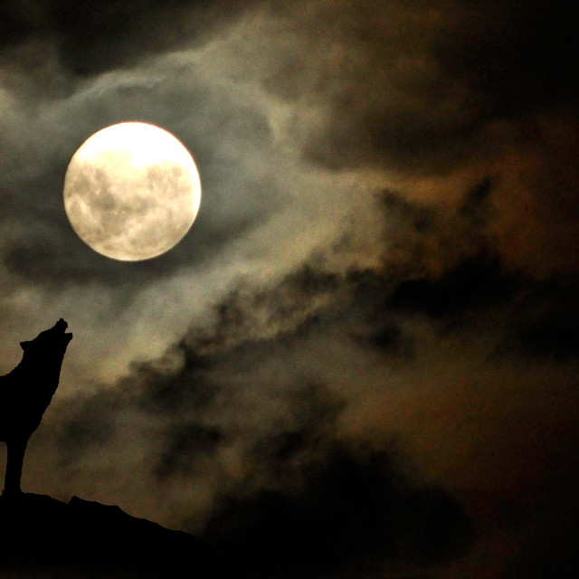 To The Moon