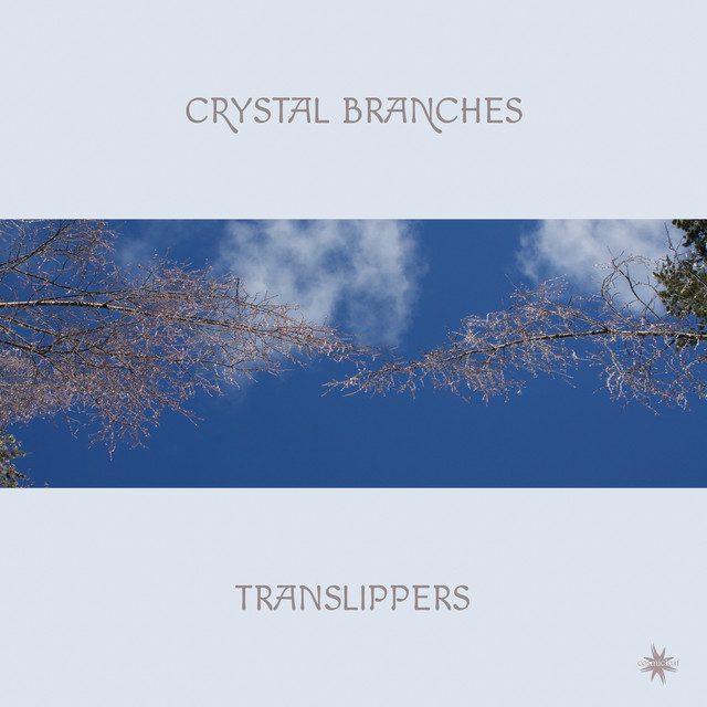 Crystal Branches cover