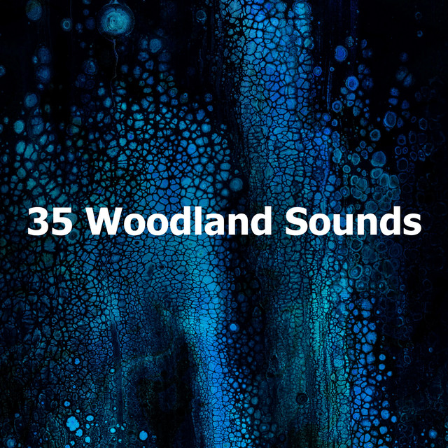35 Woodland Sounds - Album by Smoothe Sounds | Spotify