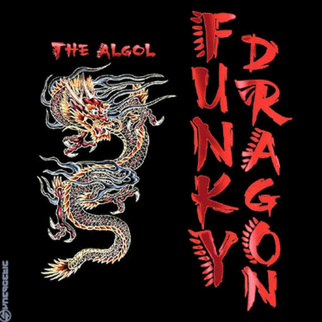 Funky Dragon Photo