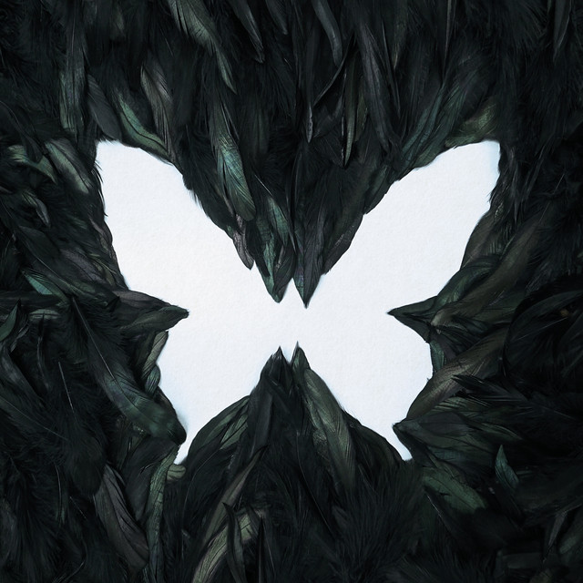 SOAR cover art