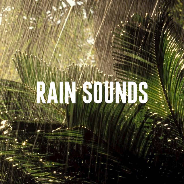 Rain Sounds cover art