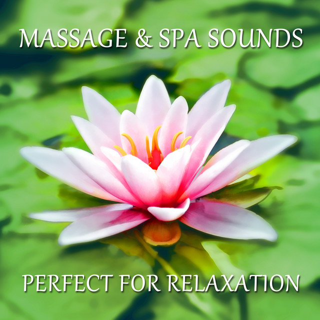 12 Massage & Spa Sounds - Perfect for Relaxation cover art
