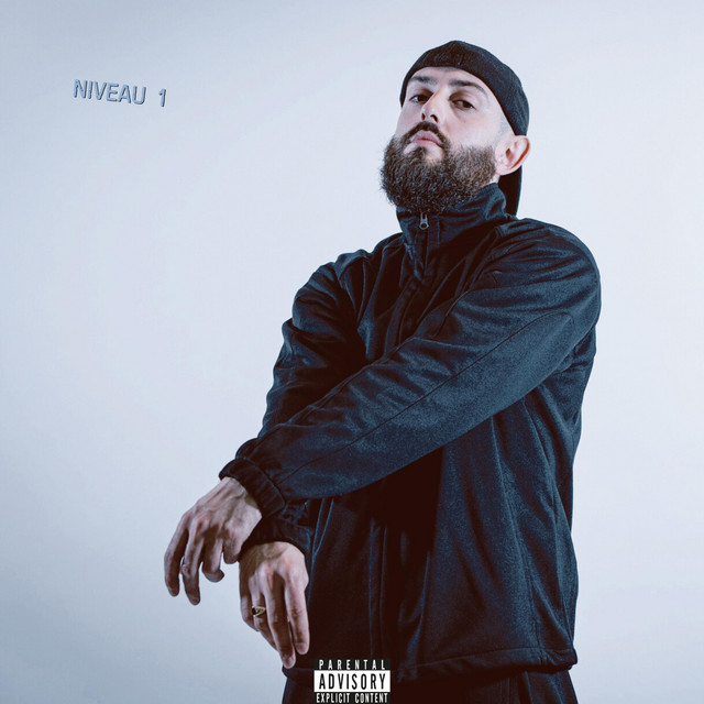 NIVEAU 1 cover art
