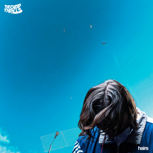 hairs cover art
