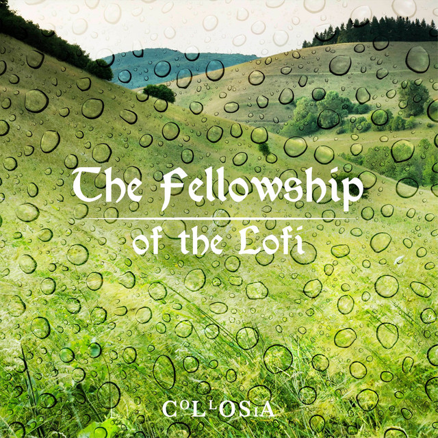 The Fellowship of the Lofi cover art