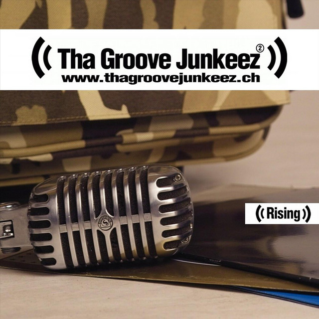 African Queen - TGJ Electro House Rmx cover art