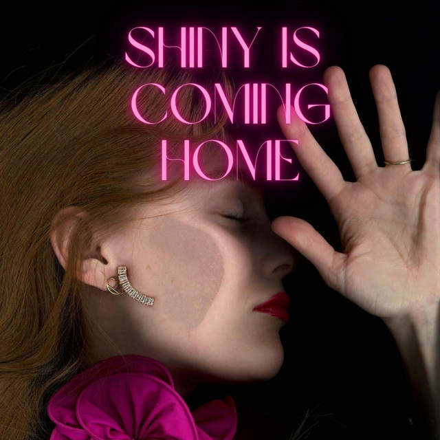 Обкладинка: Shiny is coming home — Stepura