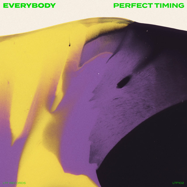 Everybody - Extended Mix album art