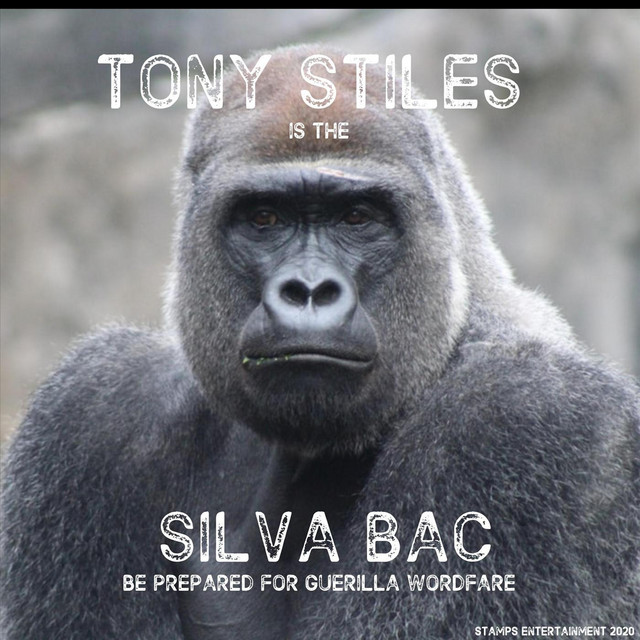 Tony Stiles
