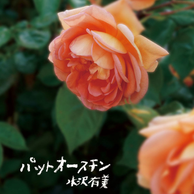 水沢有美