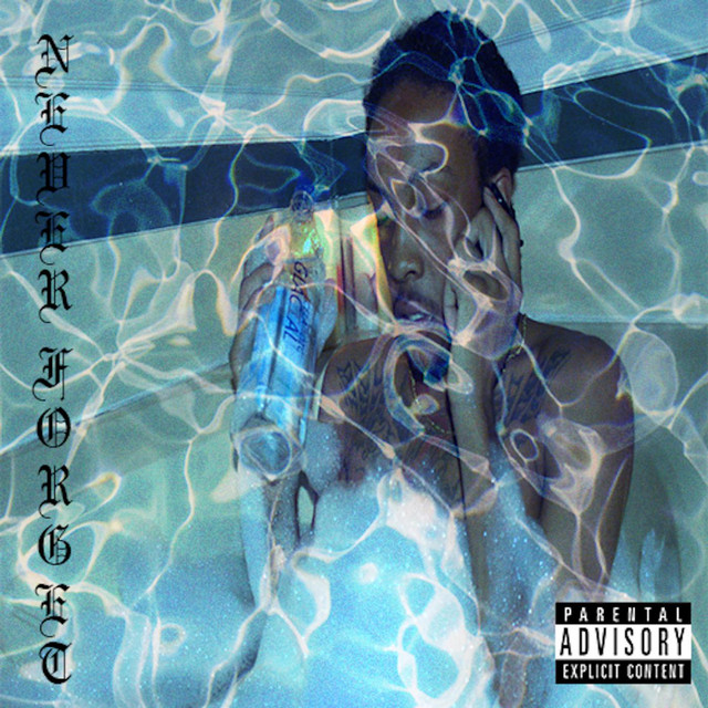 Never Forget cover art