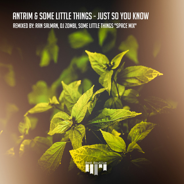 Just So You Know - DJ Zombi Remix album art
